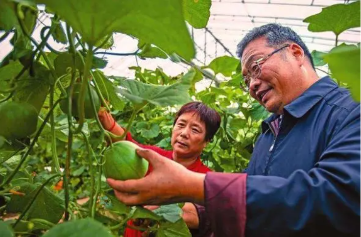 疫情后上海“小农业大科技” 服务国家乡村振兴战略的建议