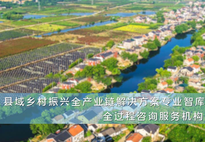 手机轮播图